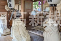 pxl_20260308_045724839