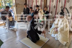 pxl_20260308_050552792