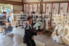 pxl_20260308_050606352