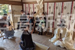 pxl_20260308_050920782