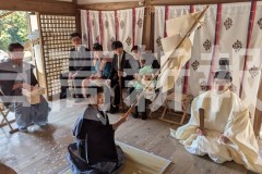 pxl_20260308_050934280