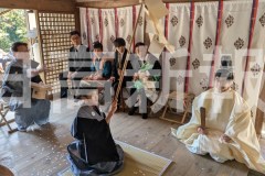 pxl_20260308_050938246