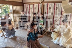 pxl_20260308_051049416