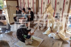 pxl_20260308_051236826