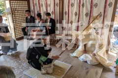 pxl_20260308_051238177