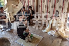 pxl_20260308_051242954