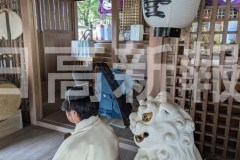 pxl_20260308_051542400