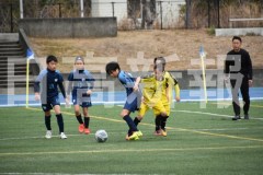 B01DSC_0012