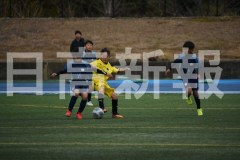 B01DSC_0017
