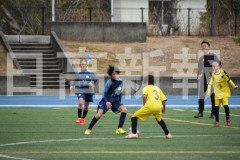 B01DSC_0019