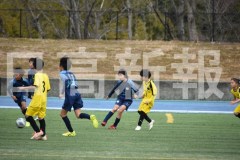 B01DSC_0020