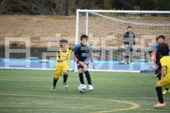 B01DSC_0027