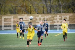 B01DSC_0035