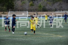 B01DSC_0063