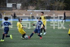 B01DSC_0085