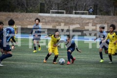 B01DSC_0101