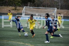 B01DSC_0105