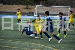 B01DSC_0106