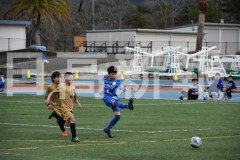 B01DSC_0134