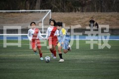 B01DSC_0137