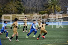 B01DSC_0147
