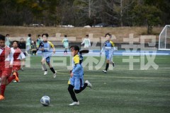 B01DSC_0155