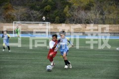 B01DSC_0159