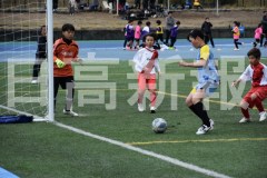 B01DSC_0163