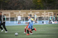 B01DSC_0173