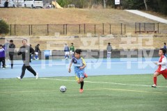 B01DSC_0190