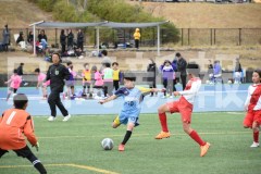 B01DSC_0191
