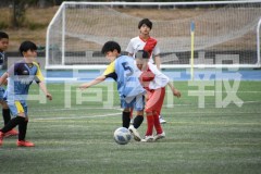 B01DSC_0204