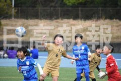 B01DSC_0210
