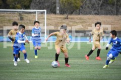 B01DSC_0214