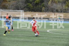 B01DSC_0223