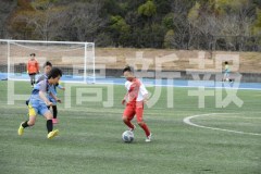 B01DSC_0224
