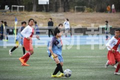 B01DSC_0230
