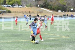 B01DSC_0233