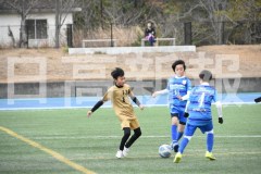 B01DSC_0238