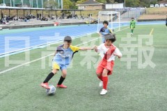 B01DSC_0239