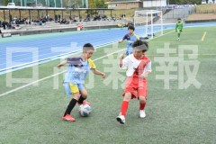 B01DSC_0240