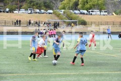 B01DSC_0242