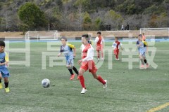 B01DSC_0246