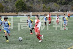 B01DSC_0247