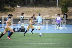 B01DSC_0249