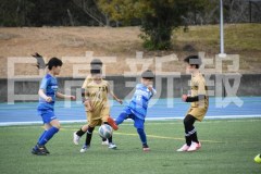 B01DSC_0257