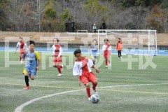 B01DSC_0260