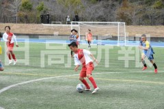 B01DSC_0261