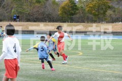 B01DSC_0269