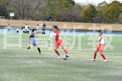 B01DSC_0271